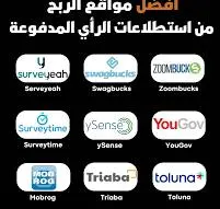 منصات الاستبيانات